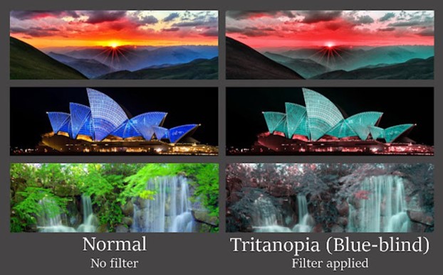 An example of using the Colorblindly tool to simulate color blindness on various images